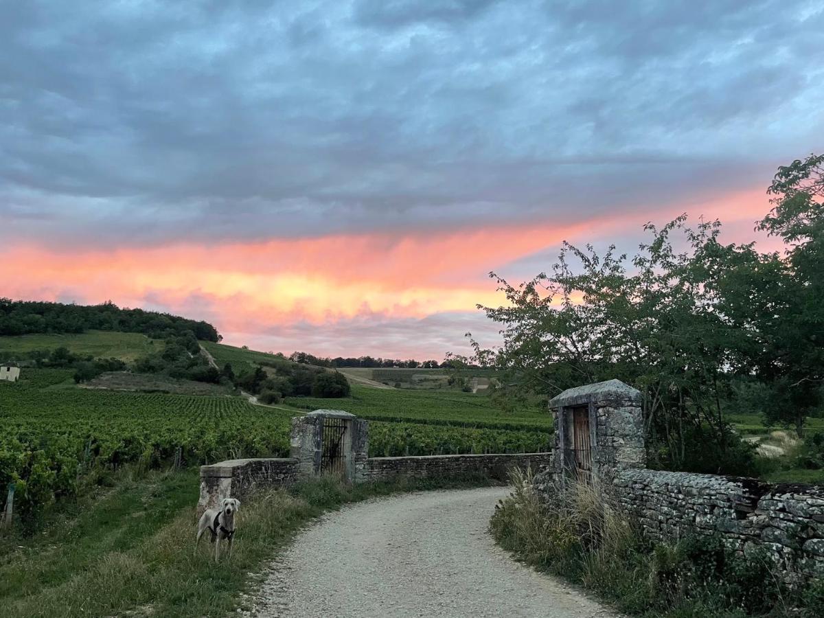 Le Clos de Miribel Givry  Exterior foto